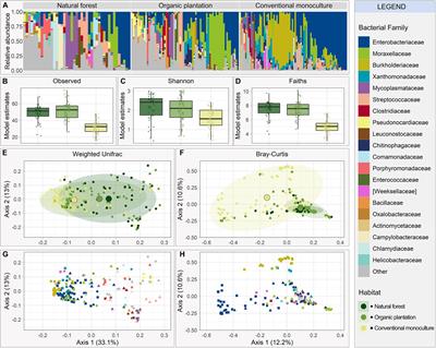 Agricultural Fast Food: Bats Feeding in Banana Monocultures Are Heavier but Have Less Diverse Gut Microbiota